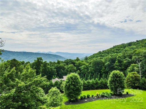 172 Pisgah Forest Trail Lot 20