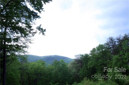 Lot 38 Round Mountain Road