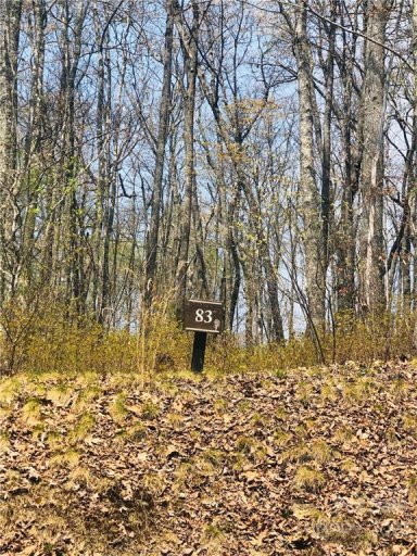 Lot 83r Firesong Lane