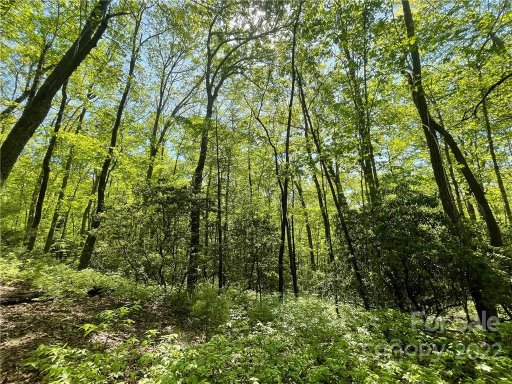 0000 Big Branch Road 53