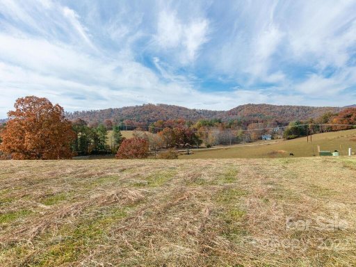 207 Thistle Ridge Court 14