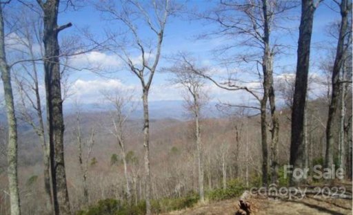 132 Whitetail Trail