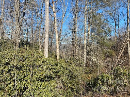Tbd Pisgah Forest Drive 10