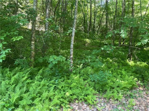 0000 Trillium Lane 16