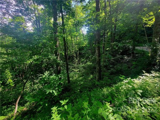00 Catawba Ridge 18