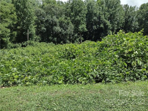 0000 Green Circle Drive