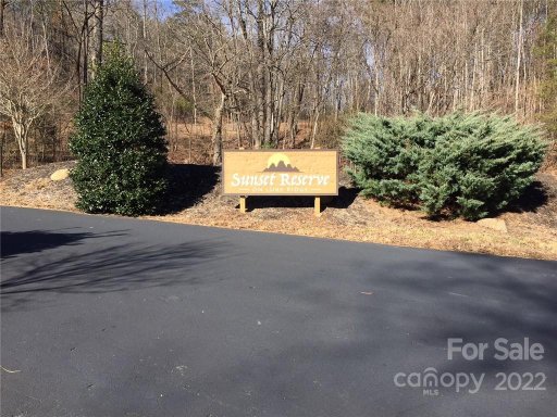 0 Lure Ridge Drive 4