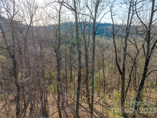 Lot 395 Roaring Fork Lane