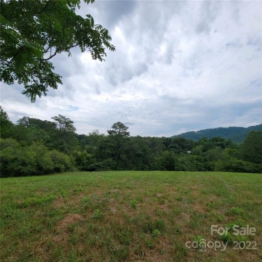 0 Laurel Lakes Parkway 001