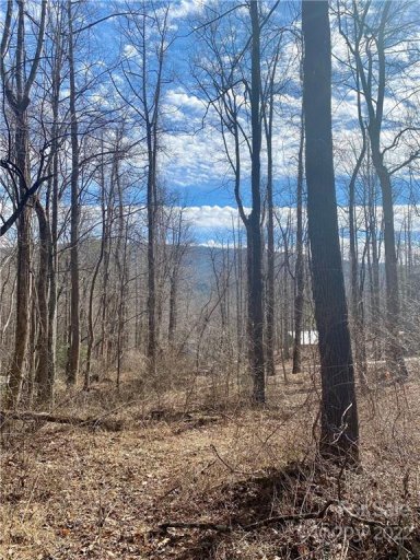 V L Clinchfield Gap Road 44, 45 & 46