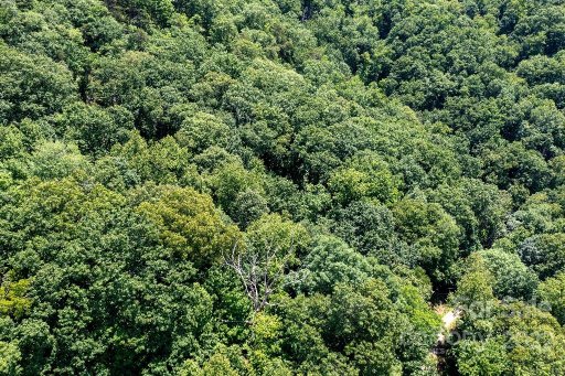 Lot 229 N Poplar Court