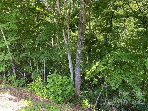 Lot 7 Treehouse Road