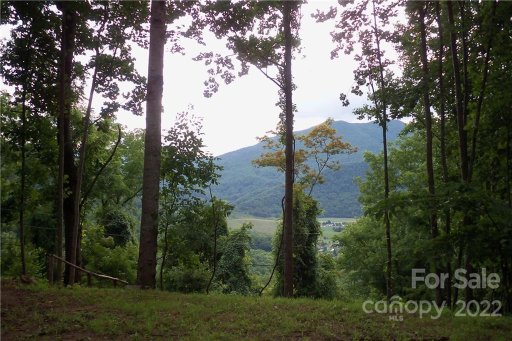 551 Tree Top Lane 22