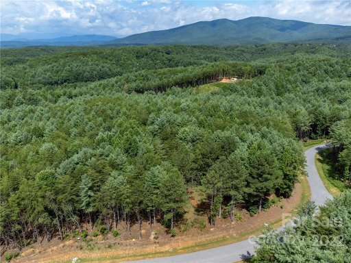 2264 Ivy Rays Way 36