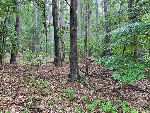 409 Hopewell Church Road