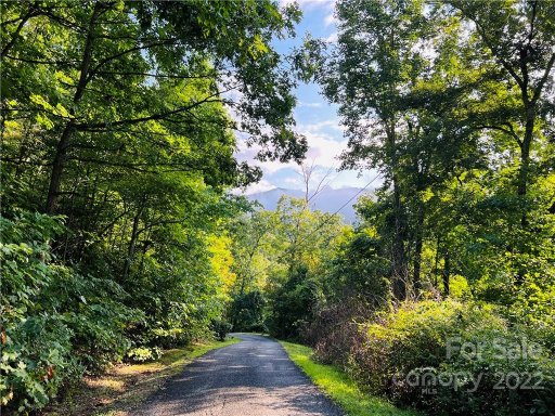 99999 Dogwood Forest Road