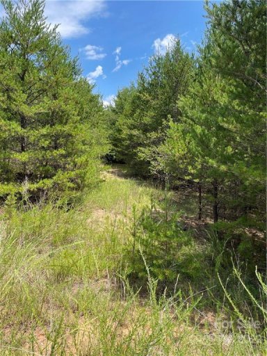 0 Hunters Trace Trace 109