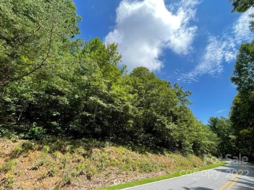 0 White Oak Mountain Road 36