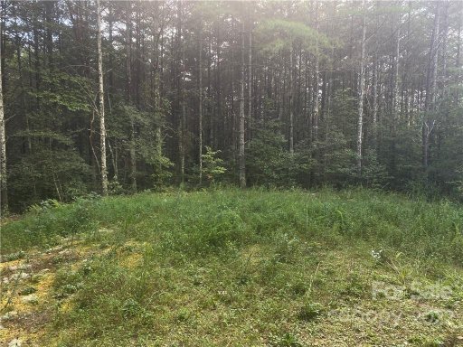 00 Collette Ridge Circle 5