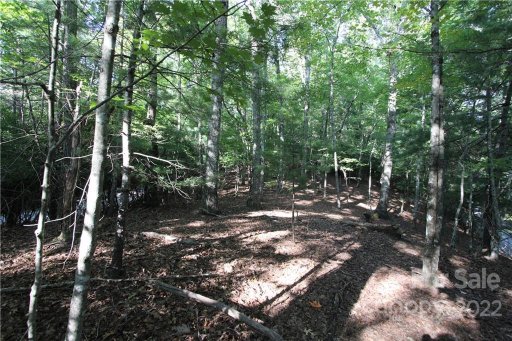 Tract 32b Kentwood Lane Tract 32B