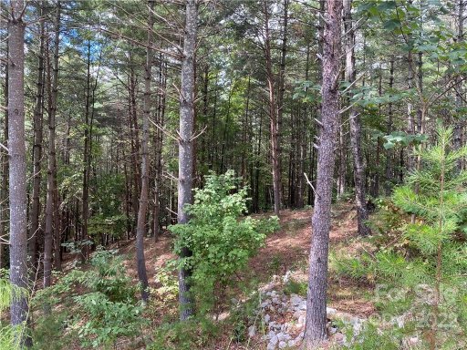 Lot 86 Crest View Drive