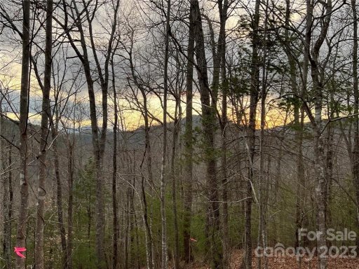 Lot 107 Laurel Ridge