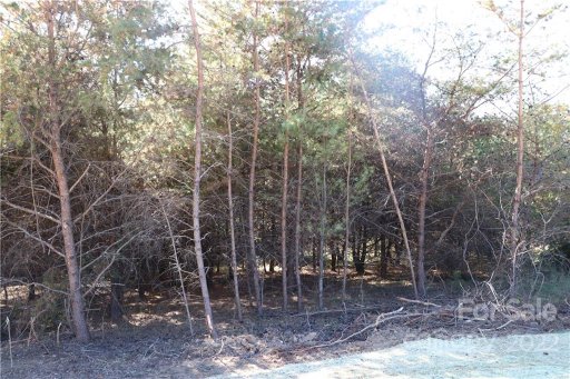 585 Morlin Acres Drive 33