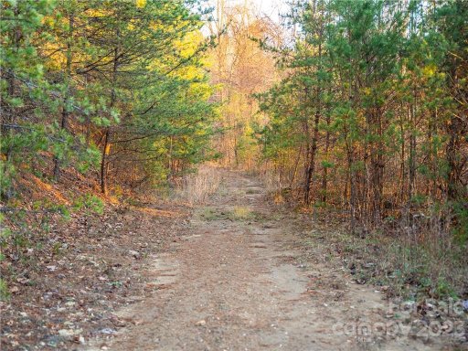 717 Hunters Ridge Road