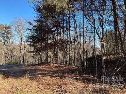 1090 Buffalo Shoals Road 179