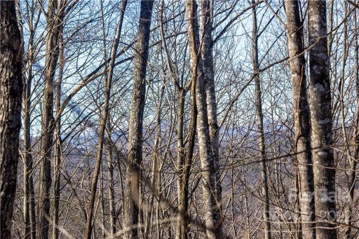 Lot 161 Ridge Stone Lane