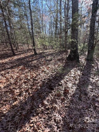 000 Twin Maple Way 5