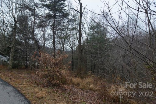 000 Curly Maple Drive 1