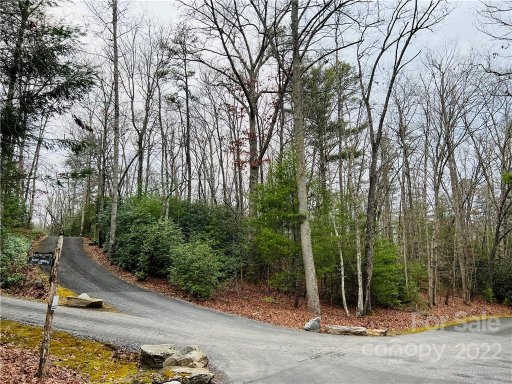 151 Nancy Ashworth Lane