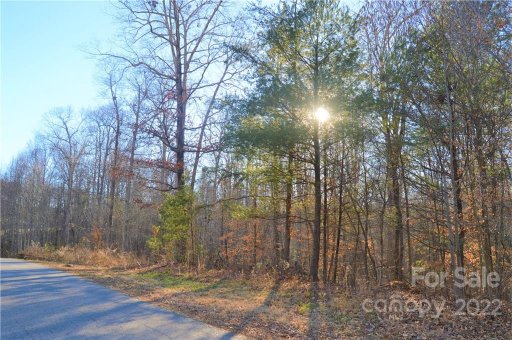 163 Forest Creek Drive