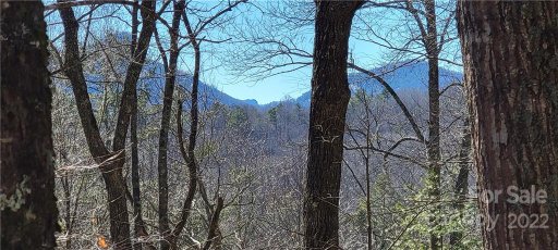 Lot 91 Black Oak Drive