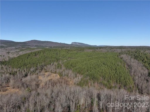 V L 54 Bear Cliff Circle