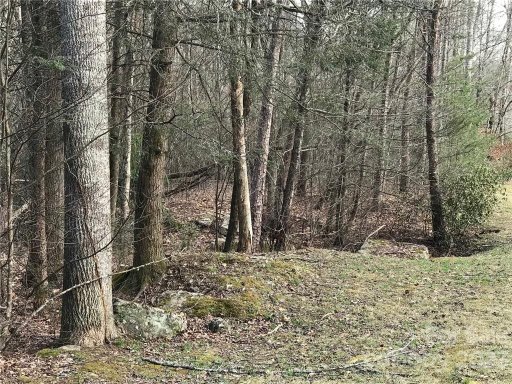 868 Wash Freeman Road