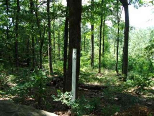 Lot 55 Look Off Drive