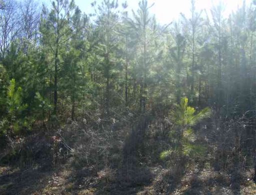 Lot 37 Ravenwood Circle