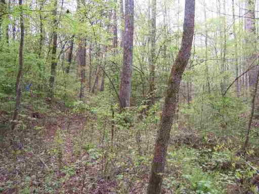 75 Goodwin Bridge Road