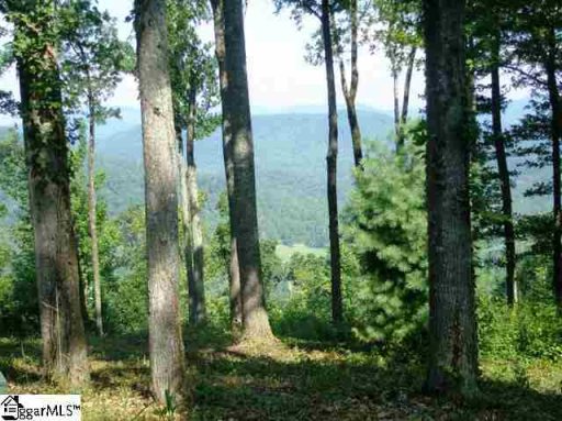 437 Bella Vista Court Cv-Cm-19 Valley, Corbin Mountain, Lot 19