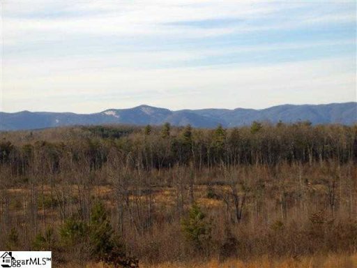 1013 Old Dacusville Rd.