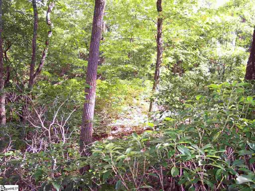 Lot 5 Woods Pond Court