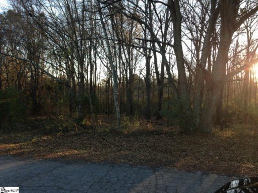 Robinwood Lane Lot 46