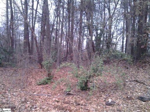 1025 Old Dacusville Road