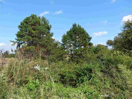 259 Abner'S Trail Road