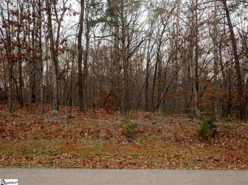 219 Dove Hill Circle Lot 8A