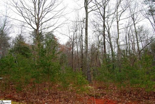 0 Roco Trail Lot 27 Roco Trail