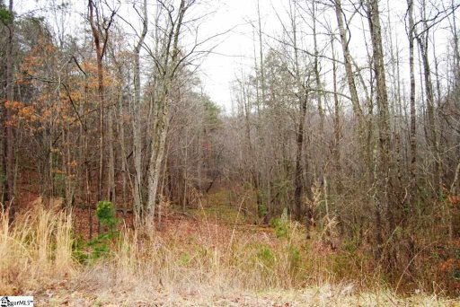 00 Roco Trail Lot 26 Roco Trail
