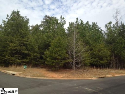 106 Houndsear Trail